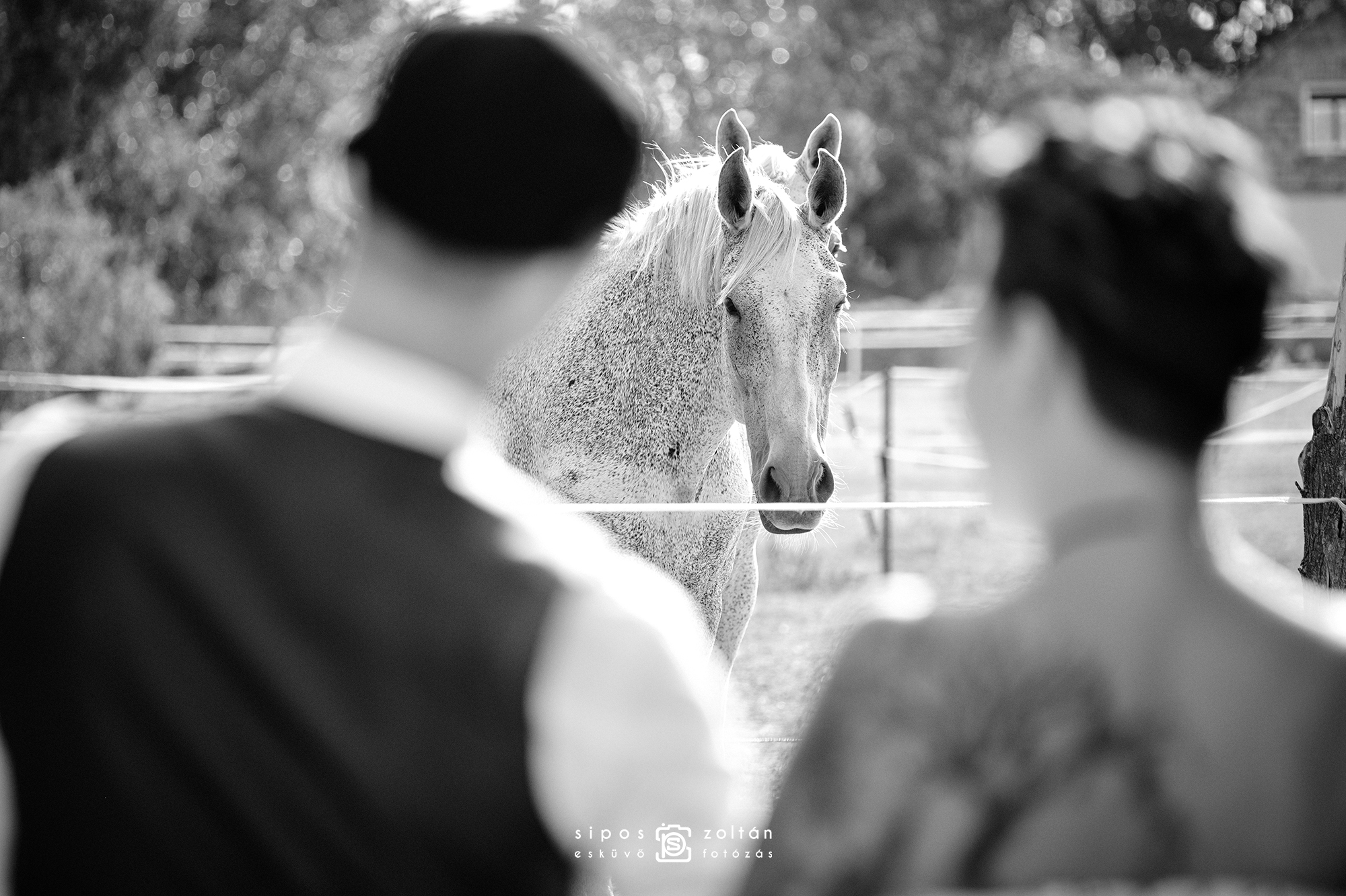 Esküvő fotózás Wedding Photography